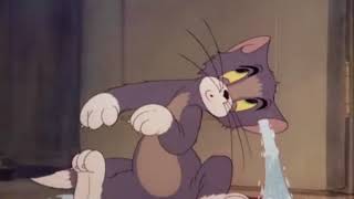 Tom and Jerry Episode 4 Fraidy Cat Part 2 [upl. by Mauve]