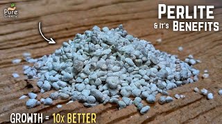 A Mastering Guide On How to Use Perlite For Plants DO amp DONTS Added [upl. by Ynaoj]