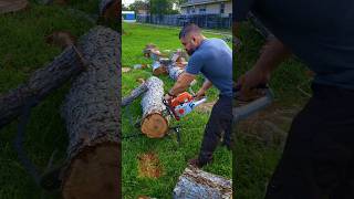 First Cuts With Custom Stihl MS261 💪  stihl ms261 forestry powertools husqvarna chainsaws [upl. by Ardnama]