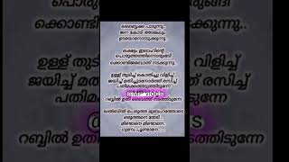 Labbaika paadunnu song lyrics malayalam mappila pattu [upl. by Adnal624]