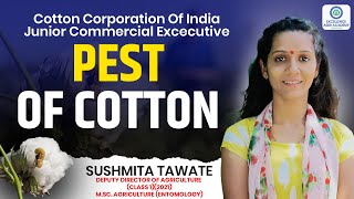 Pest of Cotton I CCI Cotton Corporation Of India I Junior Commercial Excecutive Exam [upl. by Notslah520]