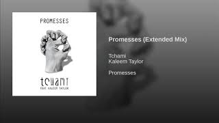 Tchami  Promesses Extended Mix [upl. by Saltsman764]