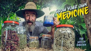 Essential Medicinal Herbs for Health  GROW YOUR OWN MEDICINE  5 Medicinal Herbs you need to know [upl. by Adirehs]