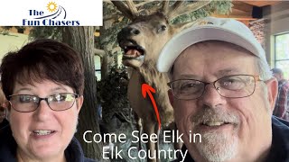 See Live Elk at Benezette PA elk rv travel [upl. by Aseen882]