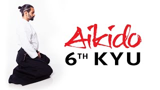 Aikido Techniques for Beginners  6th Kyu Test Requirements [upl. by Anitsuj]