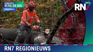 Rijlaan in Groesbeek afgesloten wegens onveilige bomen  RN7 REGIONIEUWS [upl. by Eisen]