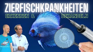 Parasiten Bakterien Pilze  Kranke Aquarienfische erkennen und behandeln [upl. by Stevana659]