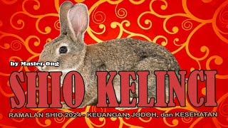 RAMALAN Shio KELINCI 2024  KARTU TAROT membaca PERUNTUNGAN KEUANGAN JODOH KESEHATAN Shio KELINCI [upl. by Helbonia]