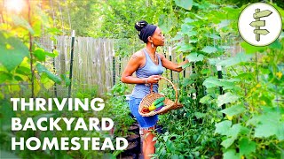 Womans Incredible Backyard Homestead Produces TONS of Food for Her Family – URBAN GARDEN TOUR [upl. by Lesna542]