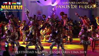 CAPORALES PASOS DE FUEGO  BANDA INTER MALLKUS IQUIQUE CHILE  CANDELARIA LIMA 2019 COLISEO PUNO [upl. by Lleret18]