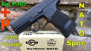 Sig P365 Gen 2 1000 Round Update 250 Rounds 124 P Rated Ammo [upl. by Gabrila]