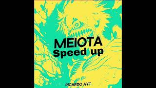 Ricardo Ayt  Meiota speed up best part loop [upl. by Niawtna962]