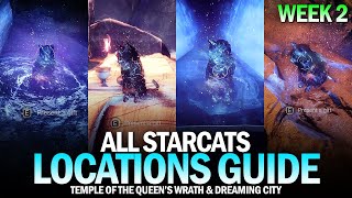 All Starcat Locations Guide  Week 2 Temple of the Queens Wrath amp Dreaming City Destiny 2 [upl. by Innaig707]