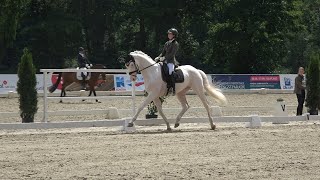 Esquin White v Escamillo  Florencio Oldenburger hengst gekört  2019 [upl. by Naitsirt249]