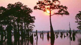 The Byrds  Lover of the Bayou [upl. by Ahsier]