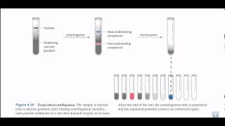 Zonal ultracentrifugation [upl. by Krawczyk]