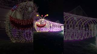 Pigeon Forge Winterfest Wonders Of Light 2023 [upl. by Boynton]