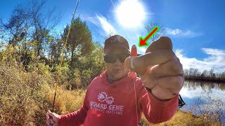 How To Catch Crappie EASY From The Bank With A Jig and Bobber [upl. by Lirva]