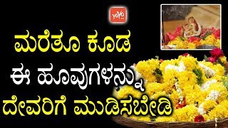 ಮರೆತೂ ಕೂಡ ಈ ಹೂವುಗಳನ್ನು ದೇವರಿಗೆ ಮುಡಿಸಬೇಡಿ  Flowers Offered to Hindu Gods  YOYO TV Kannada [upl. by Mott]