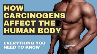 How do carcinogens effect the human body [upl. by Karie]