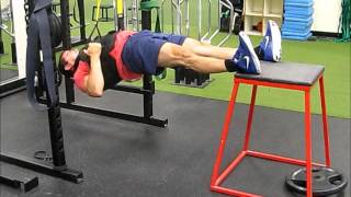 Decline Inverted Rows [upl. by Ferretti]