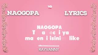 Rayvanny  Naogopa Official lyrics [upl. by Klingel269]