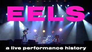 25 YEARS OF EELS LIVE IN 8 MINUTES [upl. by Ula]