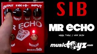 SIB Mr Echo Delay Guitar Pedal [upl. by Ennovart]