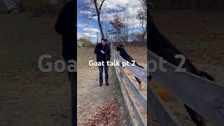 Goat talk pt 2 [upl. by Danette]