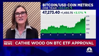 ARK Invest CEO Cathie Wood Our base case for bitcoin is 600000 bull case 15 million by 2030 [upl. by Linzer]