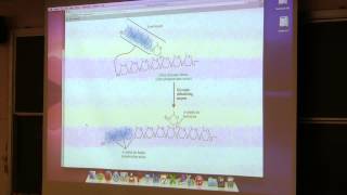 Aherns BB 350 at OSU  28 Glycogen Metabolism [upl. by Freeborn693]