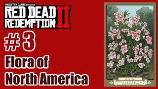 RDR2  Flora of North America – 03 Oleander Sage  Cigarette Card – Türkçe – Tayperyum [upl. by Brotherson]