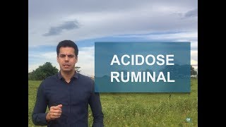 COMO EVITAR A ACIDOSE RUMINAL [upl. by Atinaej]