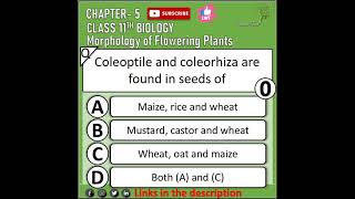 morphology of flowering plant mcq neet class 12 ncert [upl. by Itnavart]