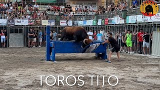 Tarde de vacas exhibida en Cheste 24 julio 2024 El Salero [upl. by Tallu42]