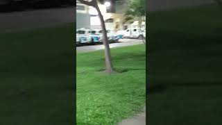 se toman un descanso los policías de formosa shorts shortsviral noticias policía [upl. by Garner88]