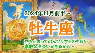 今までの経験を生かす🍇牡牛座♉️２０２４年１１月1〜15日頃まで [upl. by Humberto]