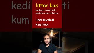 Litterbox Nedir [upl. by Aidyn]