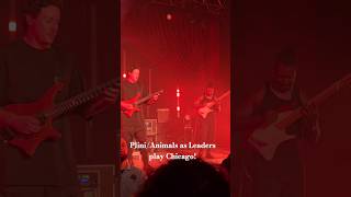 Plini and Animals as Leaders play Chicago [upl. by Lonna]