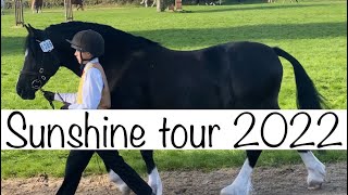 Sunshine tour championship show 2022 horse show vlog  mampm large breeds in hand [upl. by Llessur]