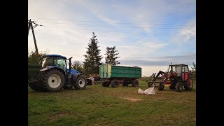 Poplon w uprawie pasowej pod kukurydzę Co Ile Dlaczego FarmVlog 3 [upl. by Seravaj]