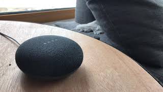 Google Home Mini po polsku przypomina o wódce z sąsiadami [upl. by Novehc]