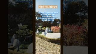 2024가평군예쁜정원콘테스트 우수정원으로선정20241030 [upl. by Orpah]