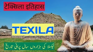 Pakistan ancient city texila l History of texila in UrduHindi l ancient takshashila university [upl. by Frohman399]