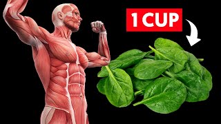 Eat 1 Cup of Spinach Every Day See What Happens To Your Body [upl. by Aggie]