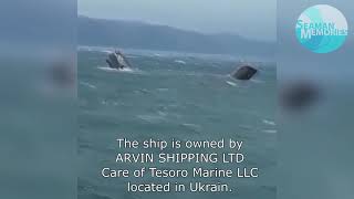 Cargo Ship Arvin sinks in the Black Sea while at anchor [upl. by Eednak]