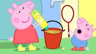 Peppa Pig and George Pig Play With Bubbles  Peppa Pig Official Family Kids Cartoon [upl. by Volney]