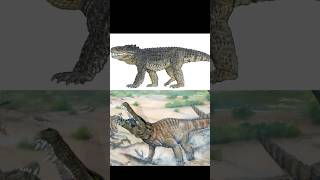 CROCODILO TERRESTRE NO PALEOCENO  MESOZOICO ZOADO dinossauros mesozoicozoado fossil [upl. by Rehpotsirh689]