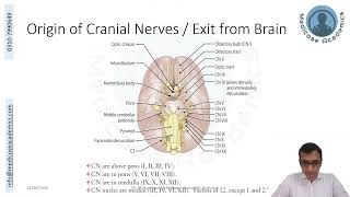 Introduction to the Cranial Nerves [upl. by Durston]