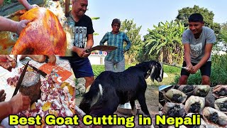 Best Goats Cutting in Nepal 🇳🇵  dashain tihar special goat Cutting  goats cutting  khasi cutting [upl. by Ayit]